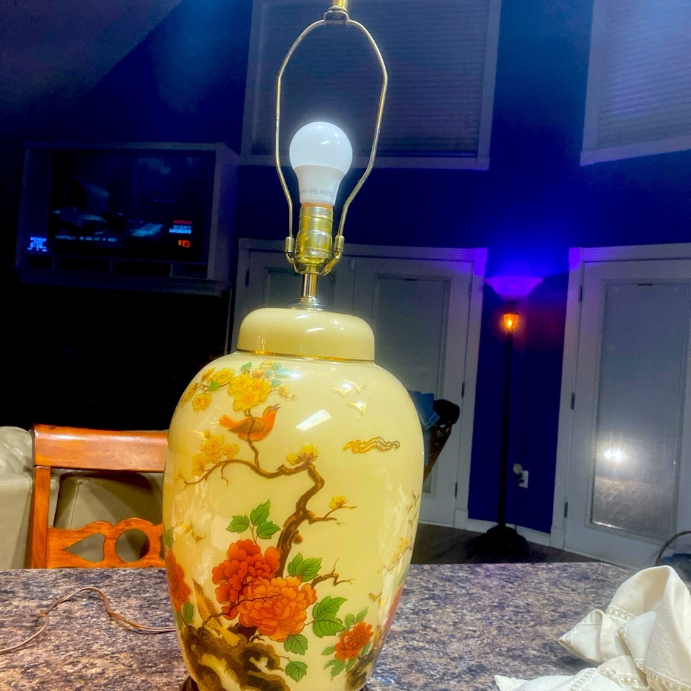 Rare find vintage Chinoserie lamp